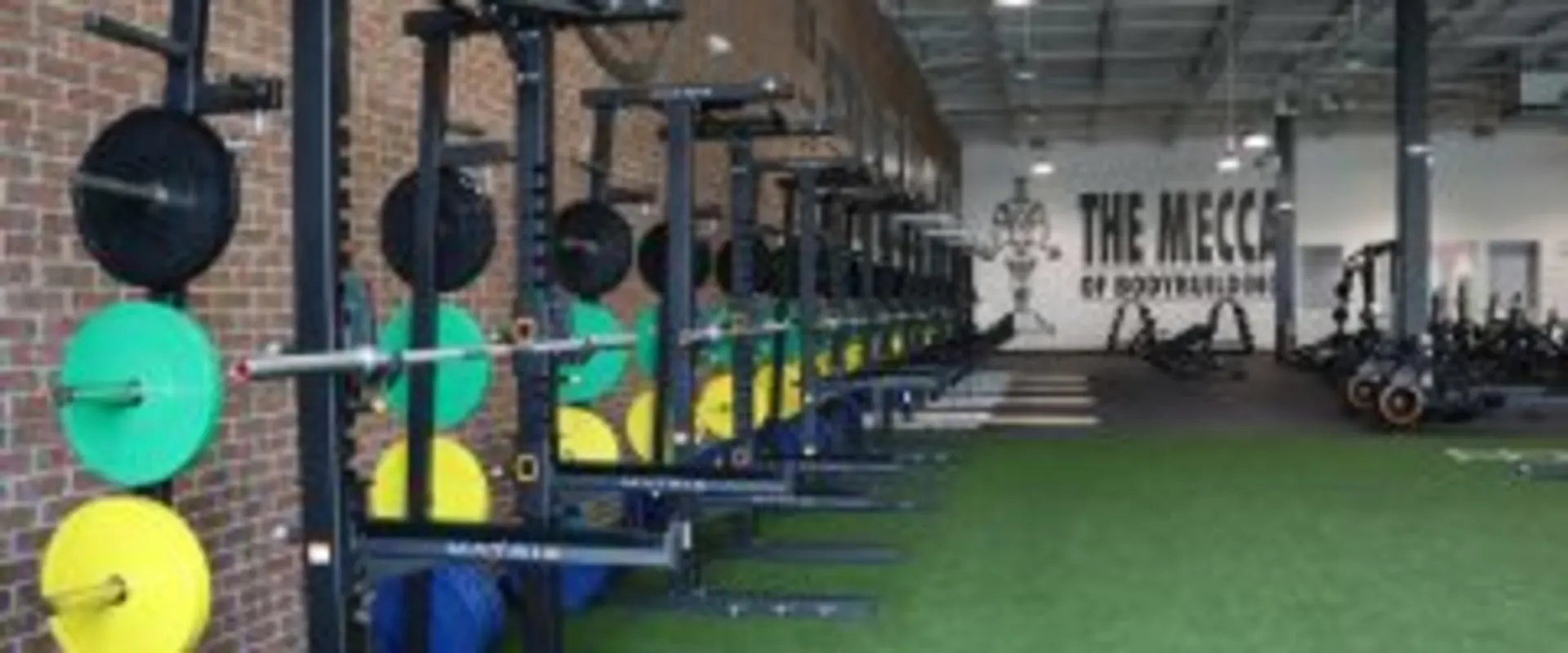Olympic Lifting Platforms