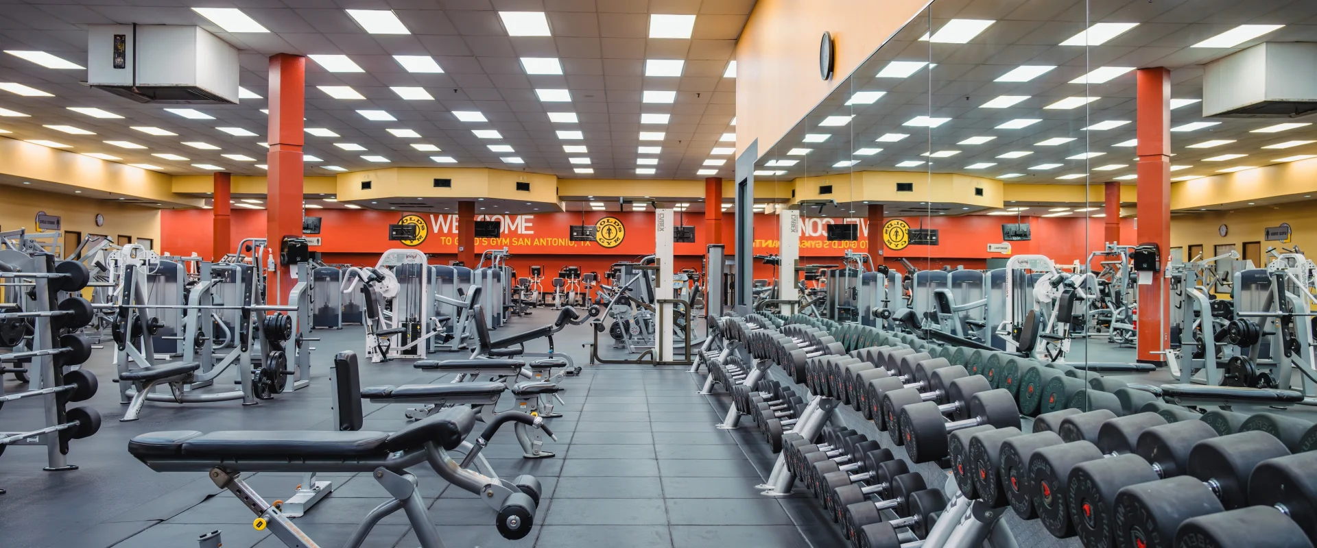 Rows of dumbbells , exercise machines, and benches at Gold's Gym Babcock under bright fluorescent lights. Large mirrors create a sense of vastness.