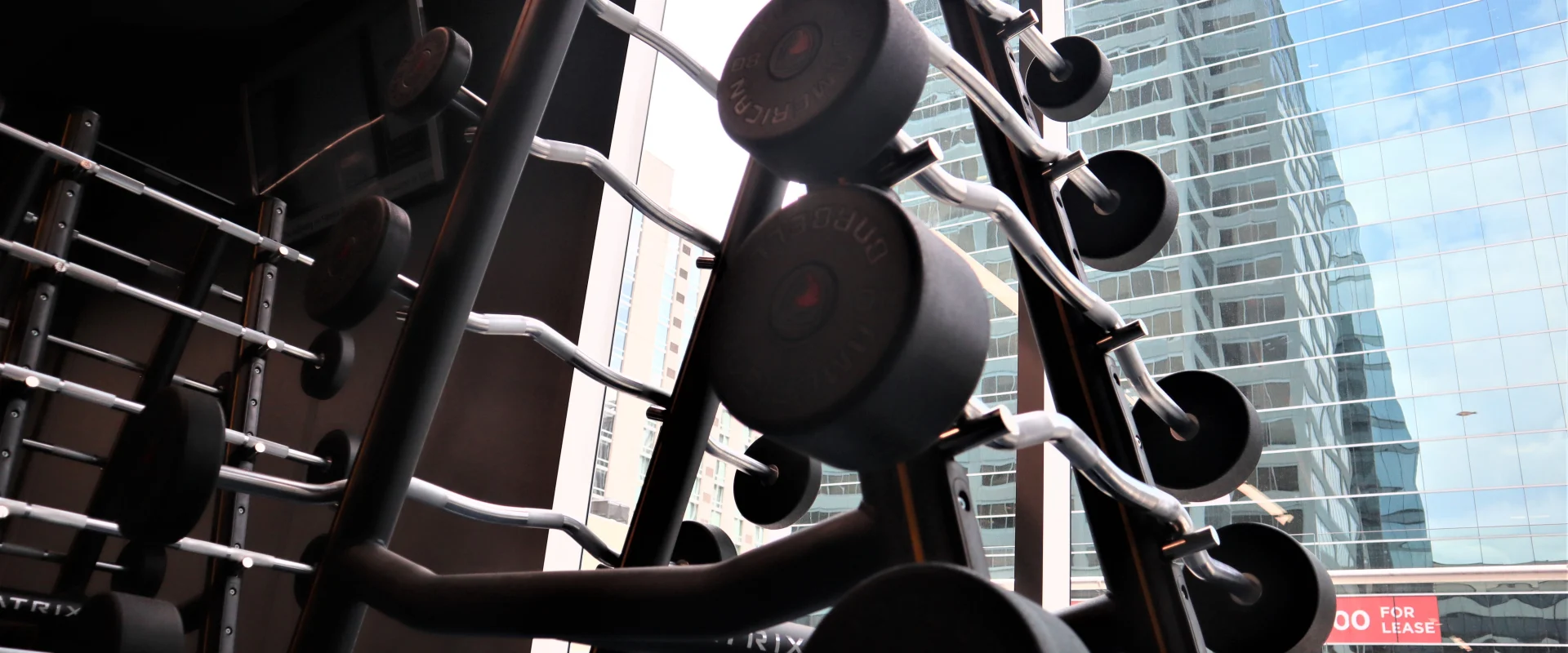 Free Weight Area