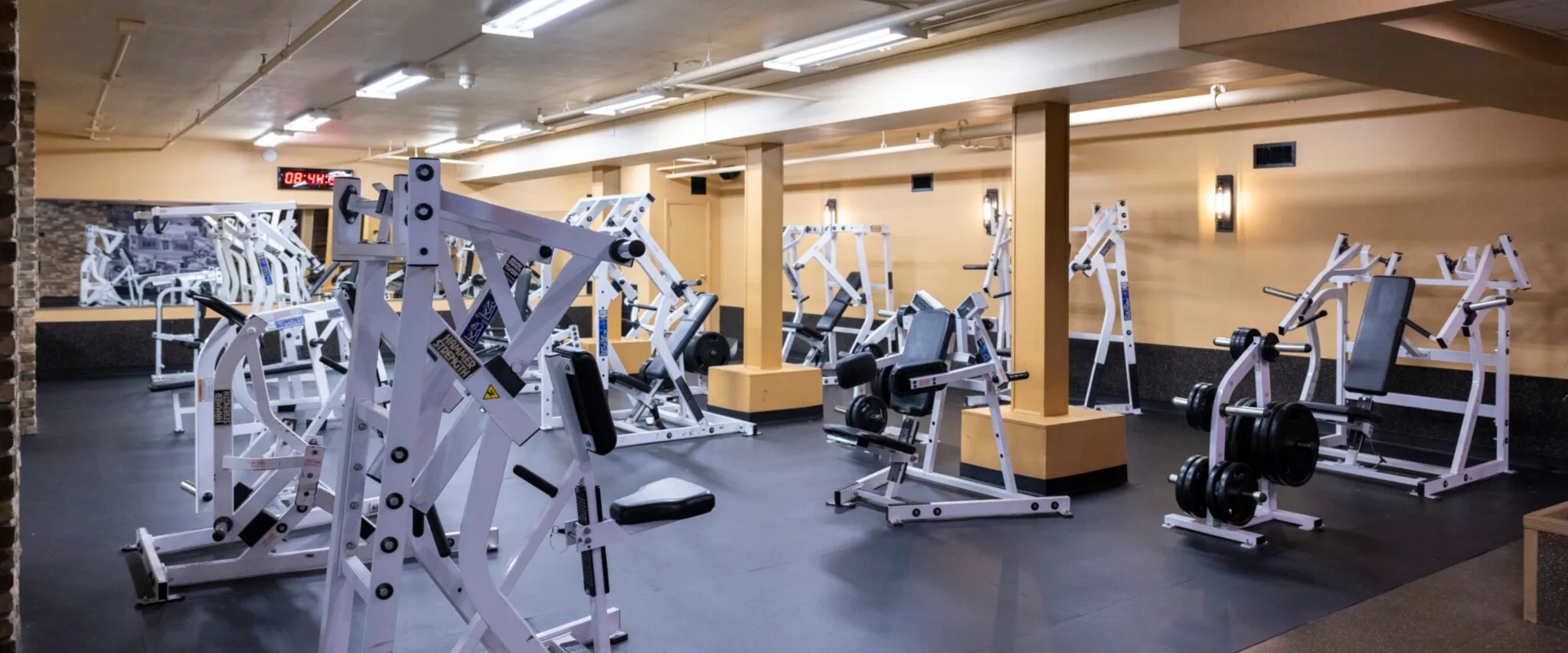 Free weights area at Gold’s Gym New York (East Northport), featuring plate-loaded machines, squat racks, and benches. The space is designed with rubber flooring for durability, soft lighting fixtures, and mirrored walls that enhance the open layout. Weight plates are neatly organized on storage racks, with equipment spaced for easy access and movement.