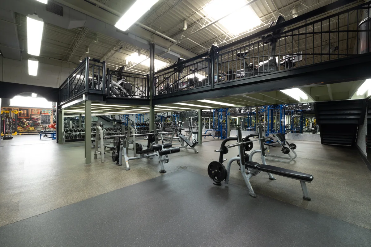 Gold's Gym Richmond Fan | Richmond Fan, VA 23220 | Strength & Fitness