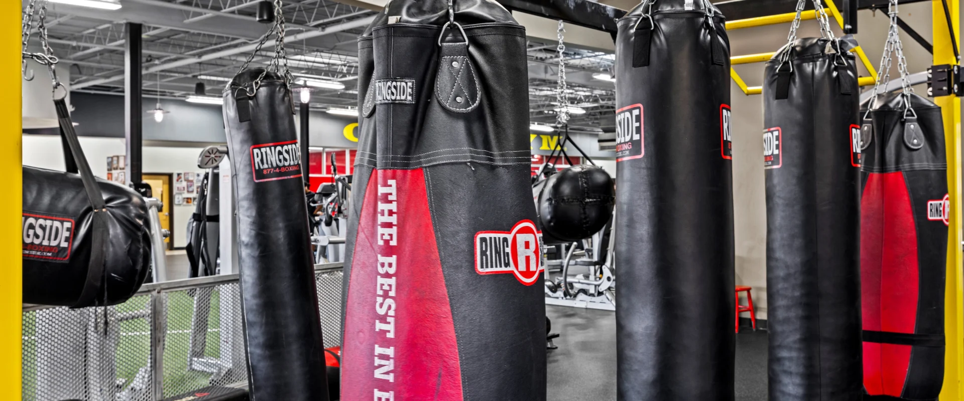 A photo of multiple heavy bags and speed bags.