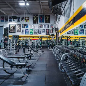 Gold's Gym Venice | Venice, CA 90291 | Stronger Starts Here
