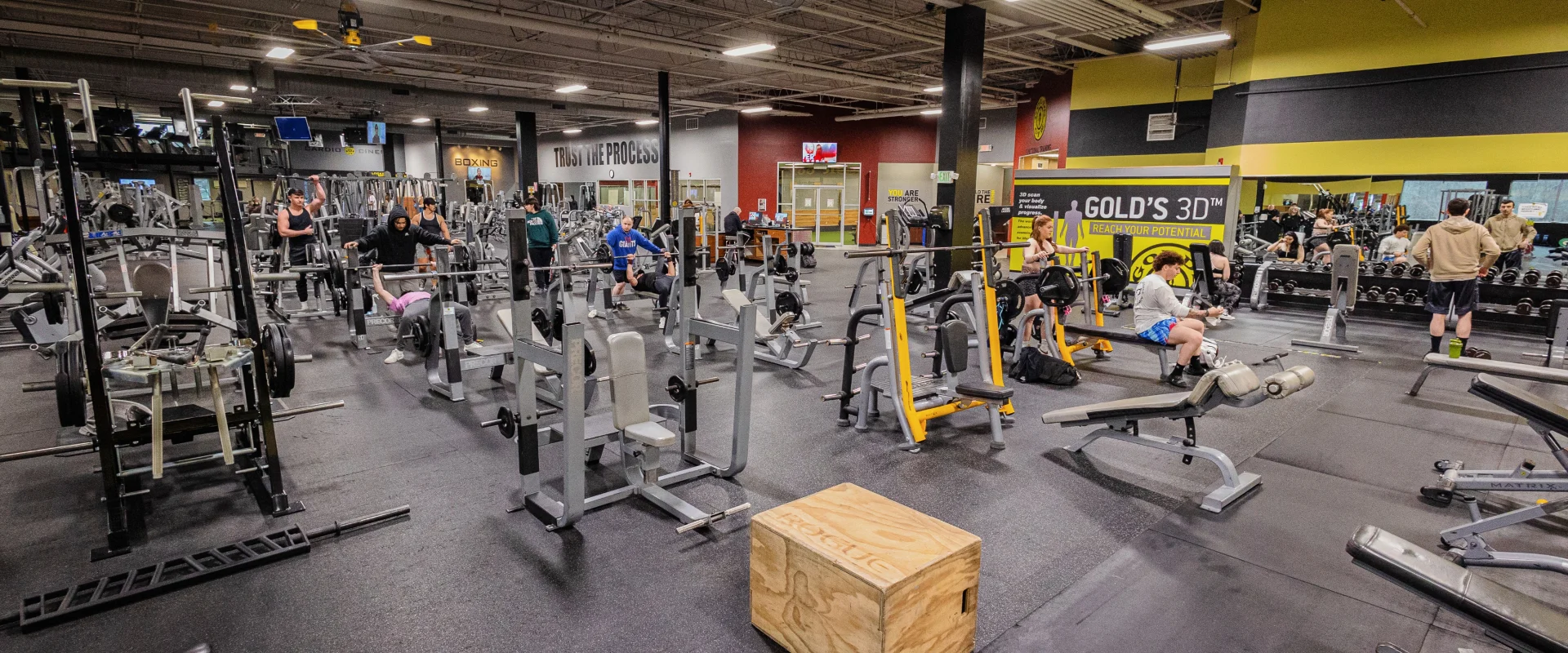 Gym scope at Gold’s Gym in Fishkill, New York, featuring a spacious fitness floor with a variety of strength training equipment, including benches, plate-loaded machines, and squat racks. Members are engaged in exercises, with a wooden plyometric box in the foreground. The mirrored wall reflects the bustling environment, while bold motivational signage and accent walls add energy to the space.