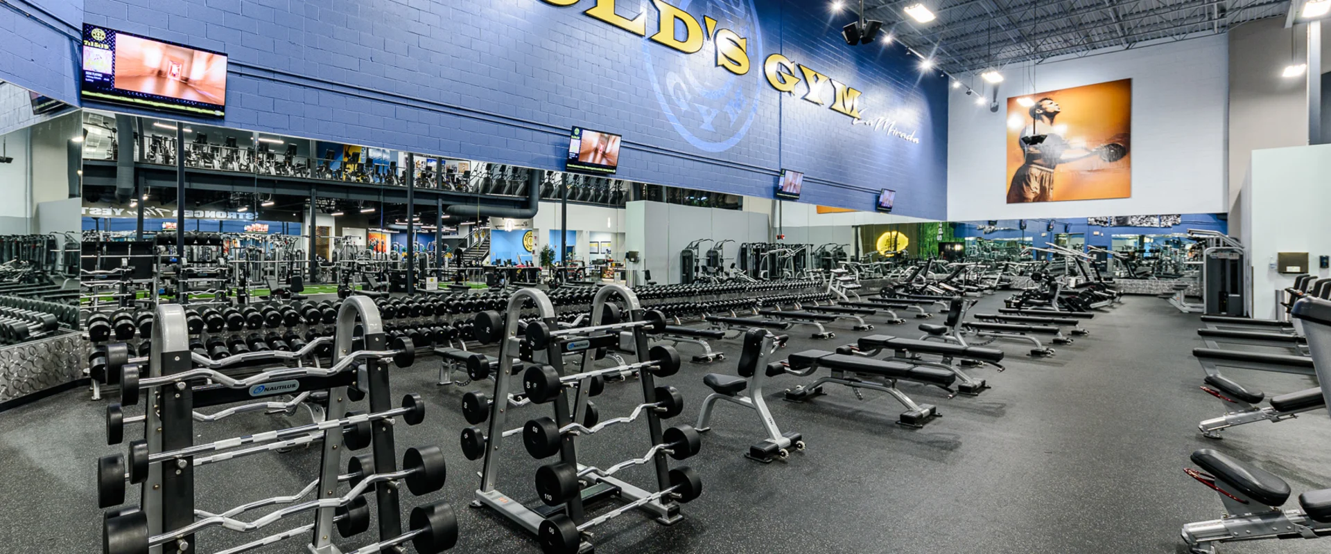 A dedicated free weight area with barbells, dumbbells, and benches. Large mirrors reflect the gym’s blue walls, and a motivational banner hangs above. Rows of benches and weight racks provide ample space for lifting.