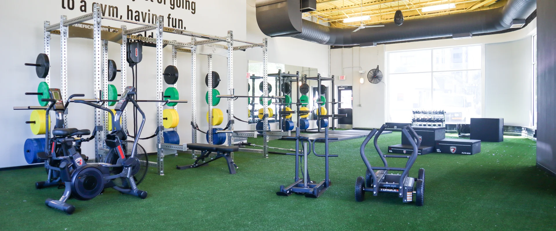 Functional Turf Area