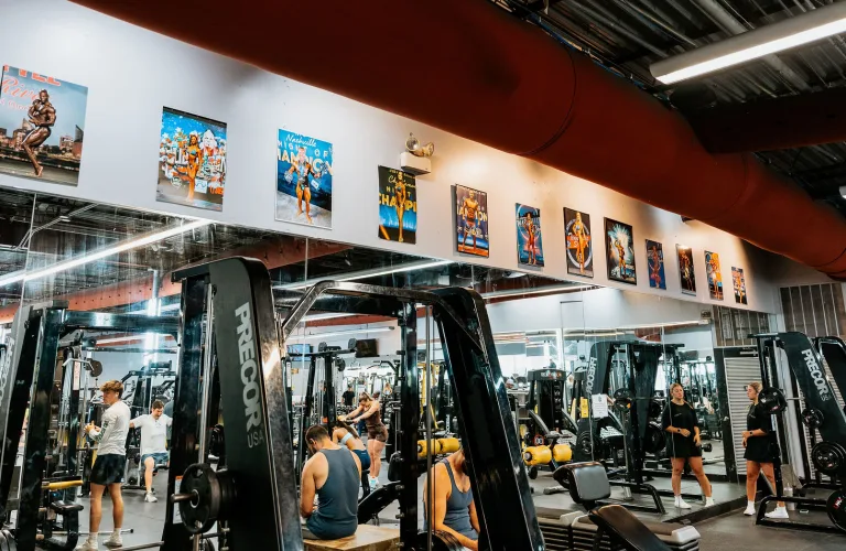 Gold's Gym Bellevue | Nashville, TN 37221 | Focus. Train. Achieve.