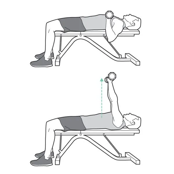 bench press