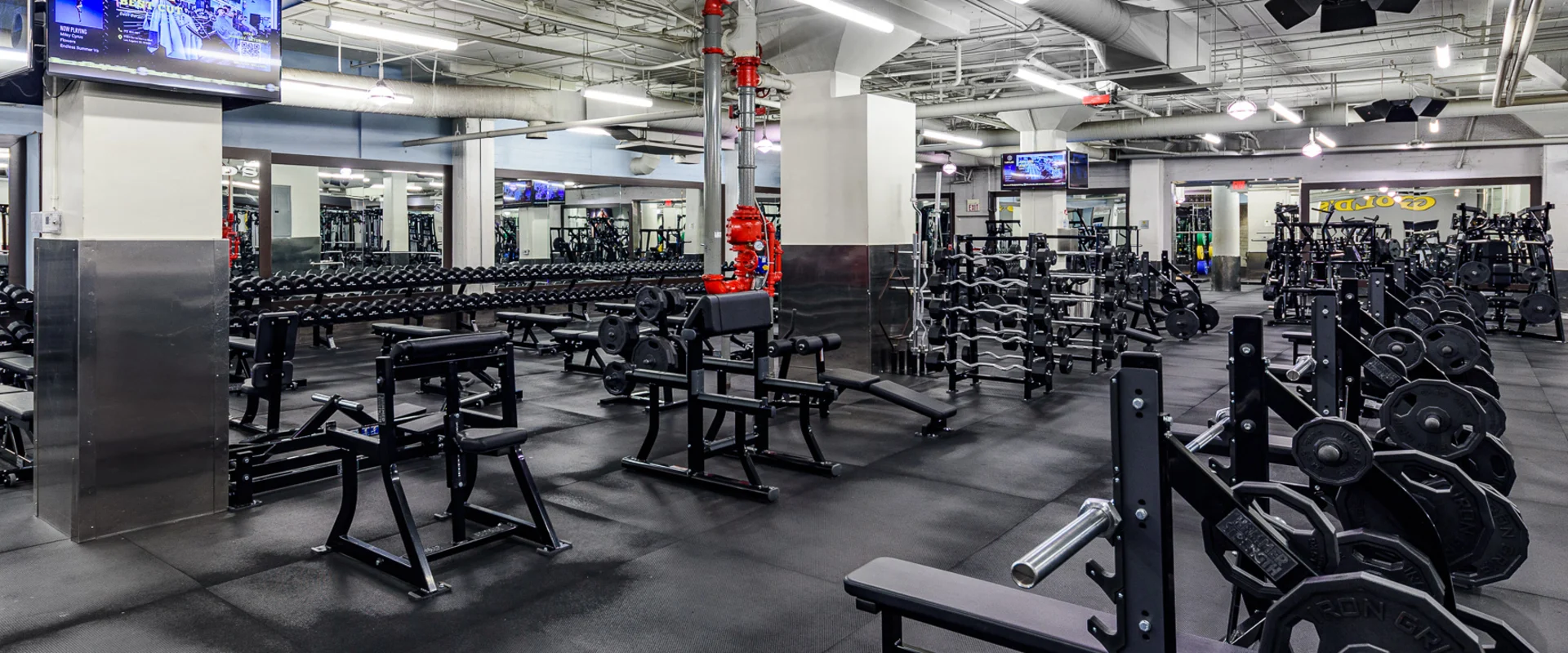 Free weight area at Gold’s Gym Hollywood, featuring rows of dumbbells and barbells organized on black metal racks. Adjustable benches are arranged throughout the space on black rubber flooring. Weight plates are loaded onto bench press stations, with additional racks storing preloaded barbells. Large mirrors line the walls, reflecting the equipment and surrounding gym areas. Overhead fluorescent lights illuminate the space, with exposed ductwork and ceiling pipes visible above. A red fire suppression system is mounted near a structural column. Wall-mounted TVs display content above the workout area.