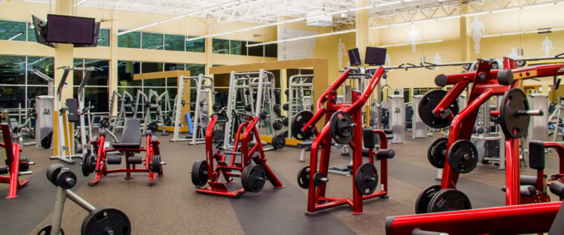 Gold’s Gym San Antonio Legacy Trails (Gold Level) Free Weights