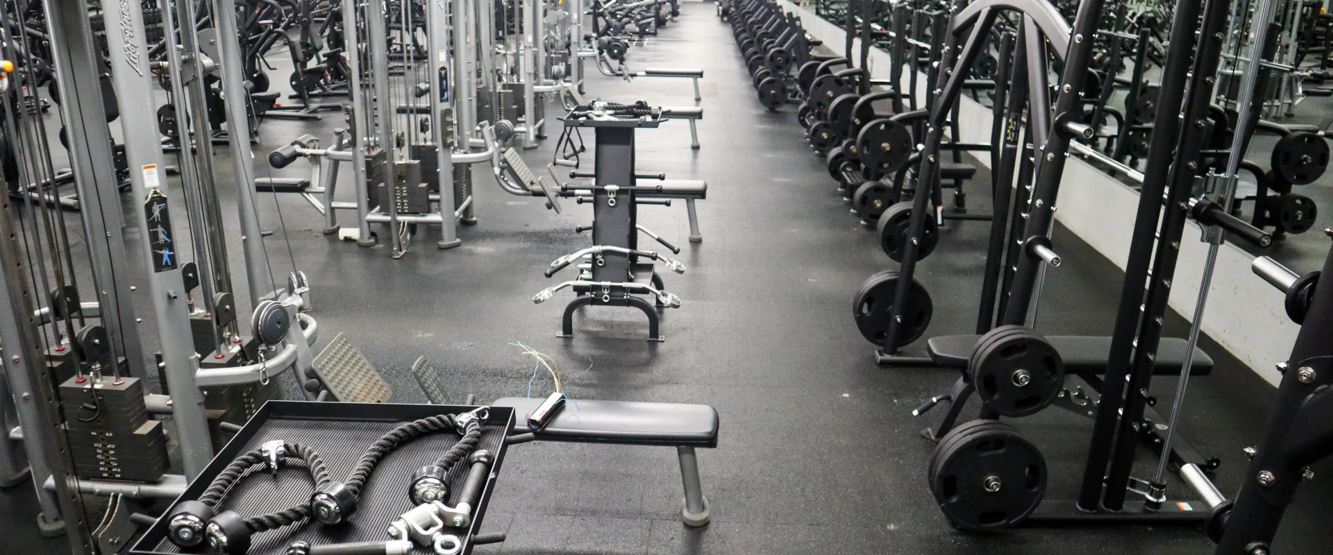 Free Weight and Strength Area