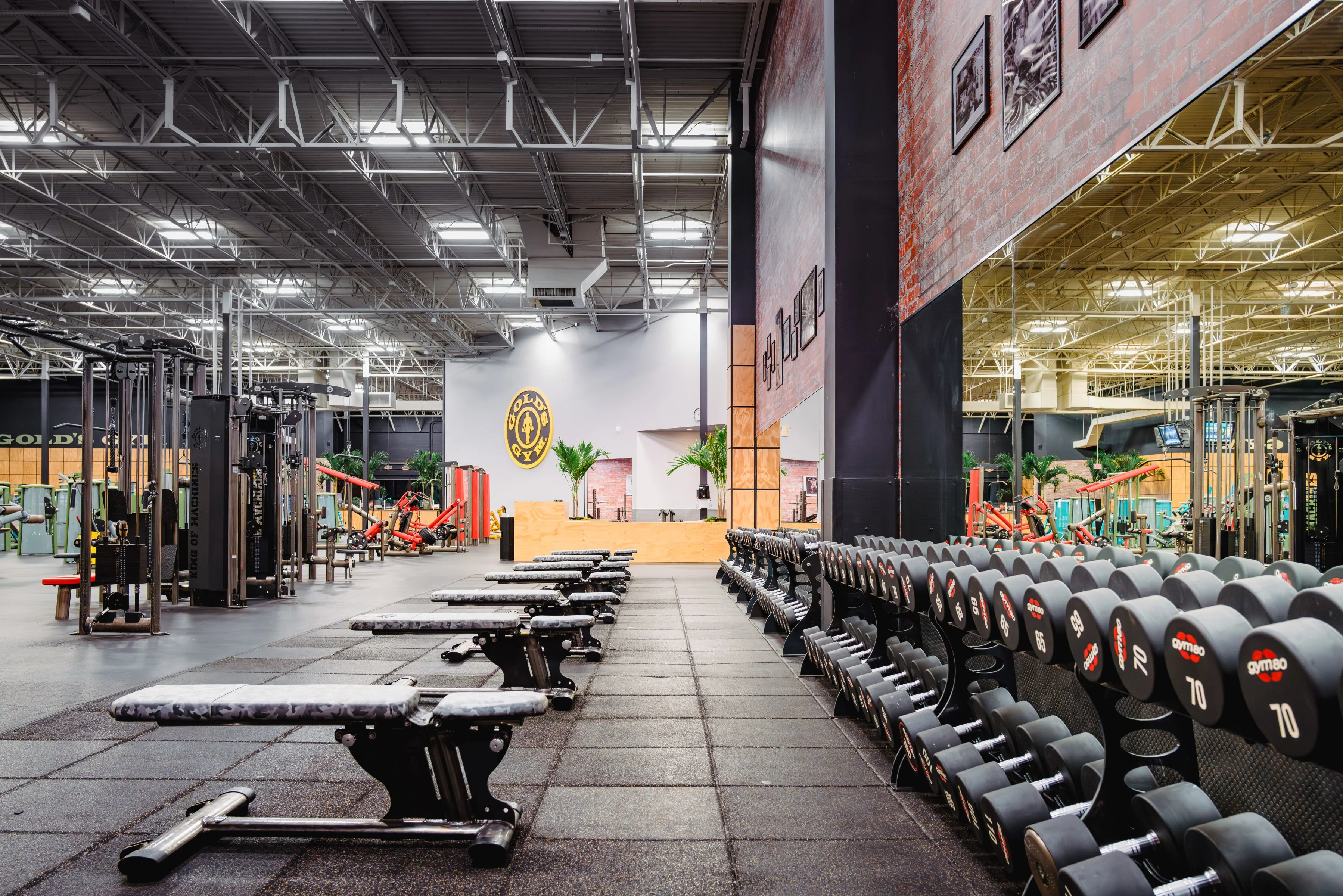 ボディビル,プロレス,格闘技★GOLD'S GYM ゴールドジム バーナー 旗 Gold's Gym San Antonio Bandera Trails | TX 78023 | Strength Training