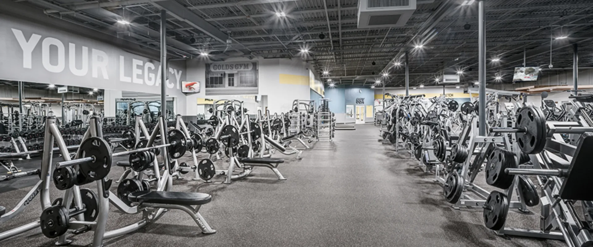 Free Weight Area