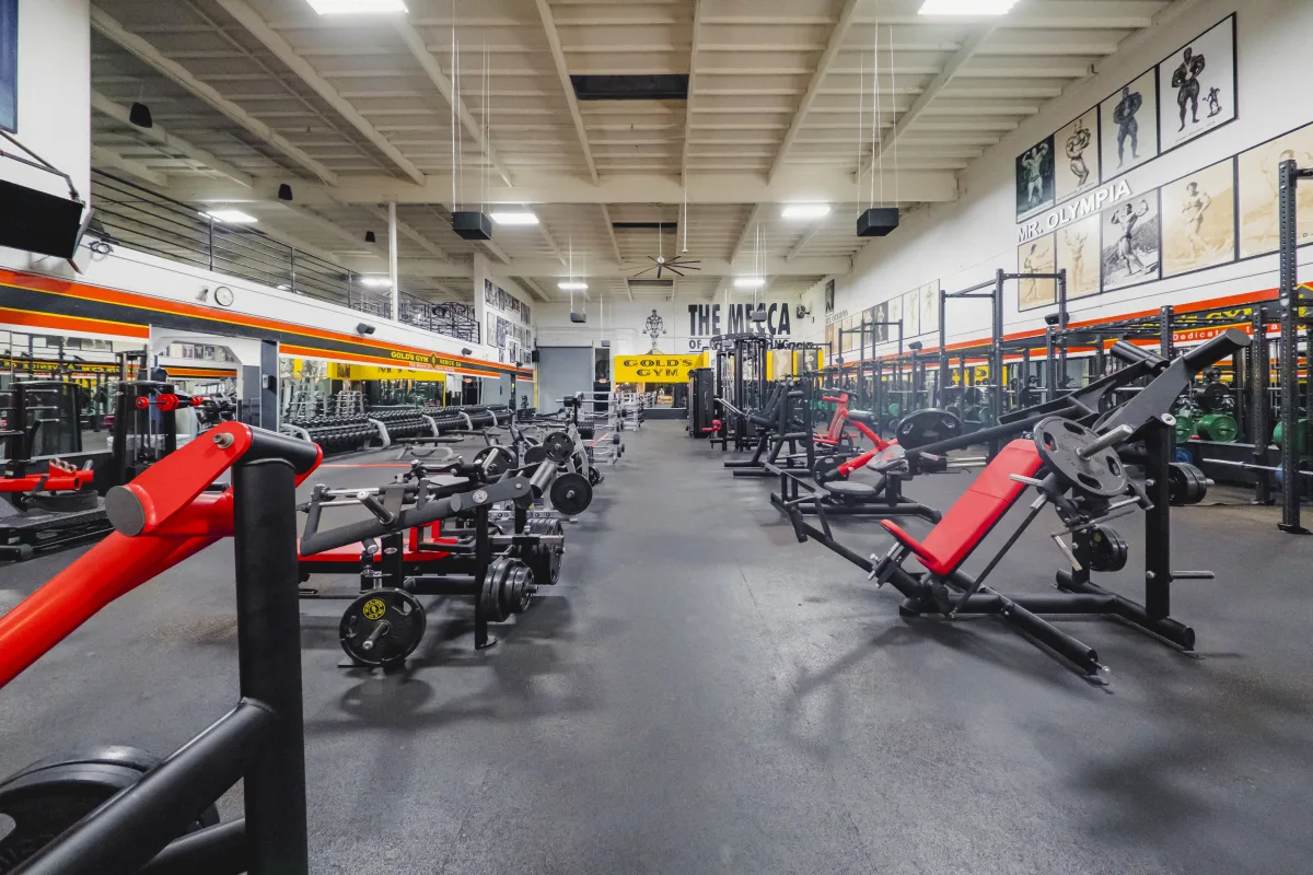 Gold's Gym Venice Venice, CA 90291 Stronger Starts Here