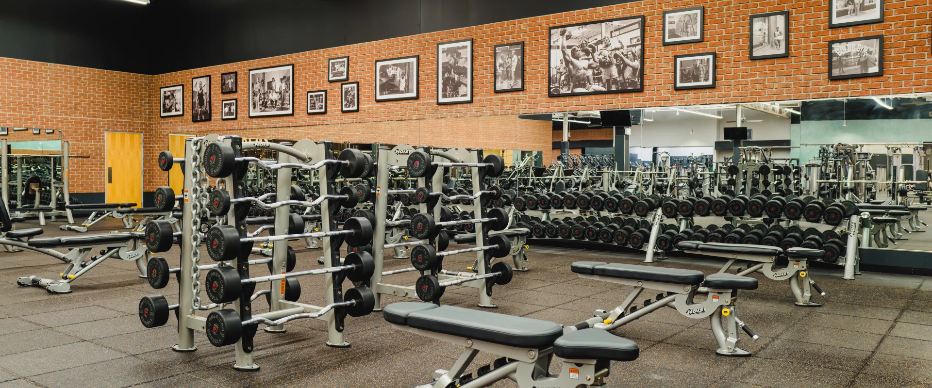 Dumbbell section at Gold's Gym with neatly racked weights, workout benches, mirrored walls, and a brick backdrop featuring vintage bodybuilding photos.