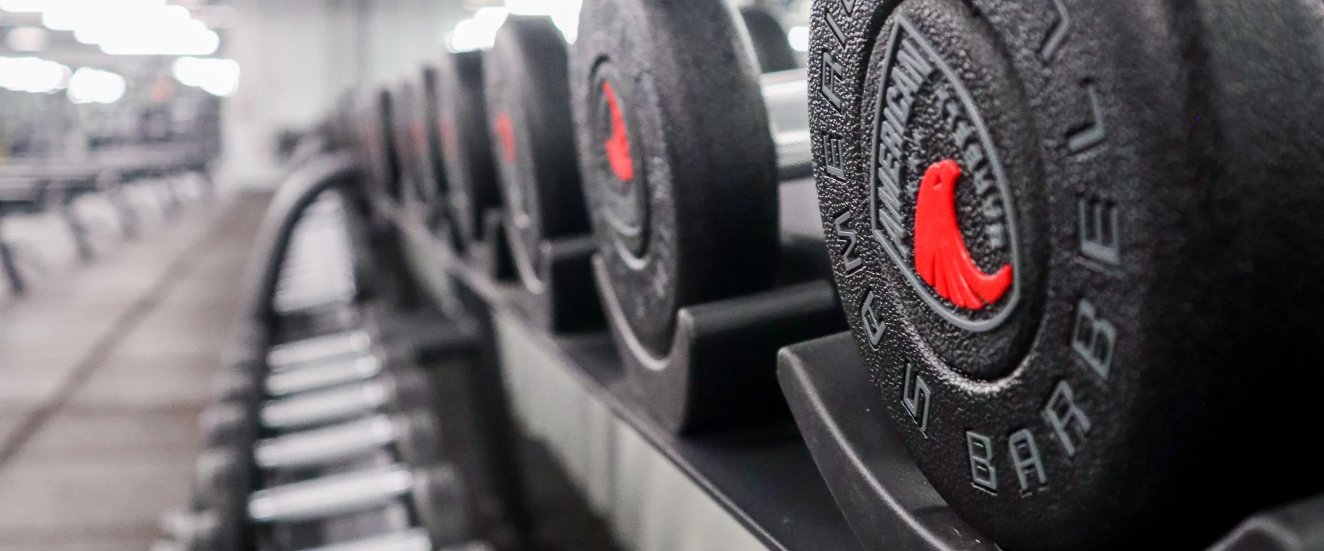 Free Weight and Strength Area