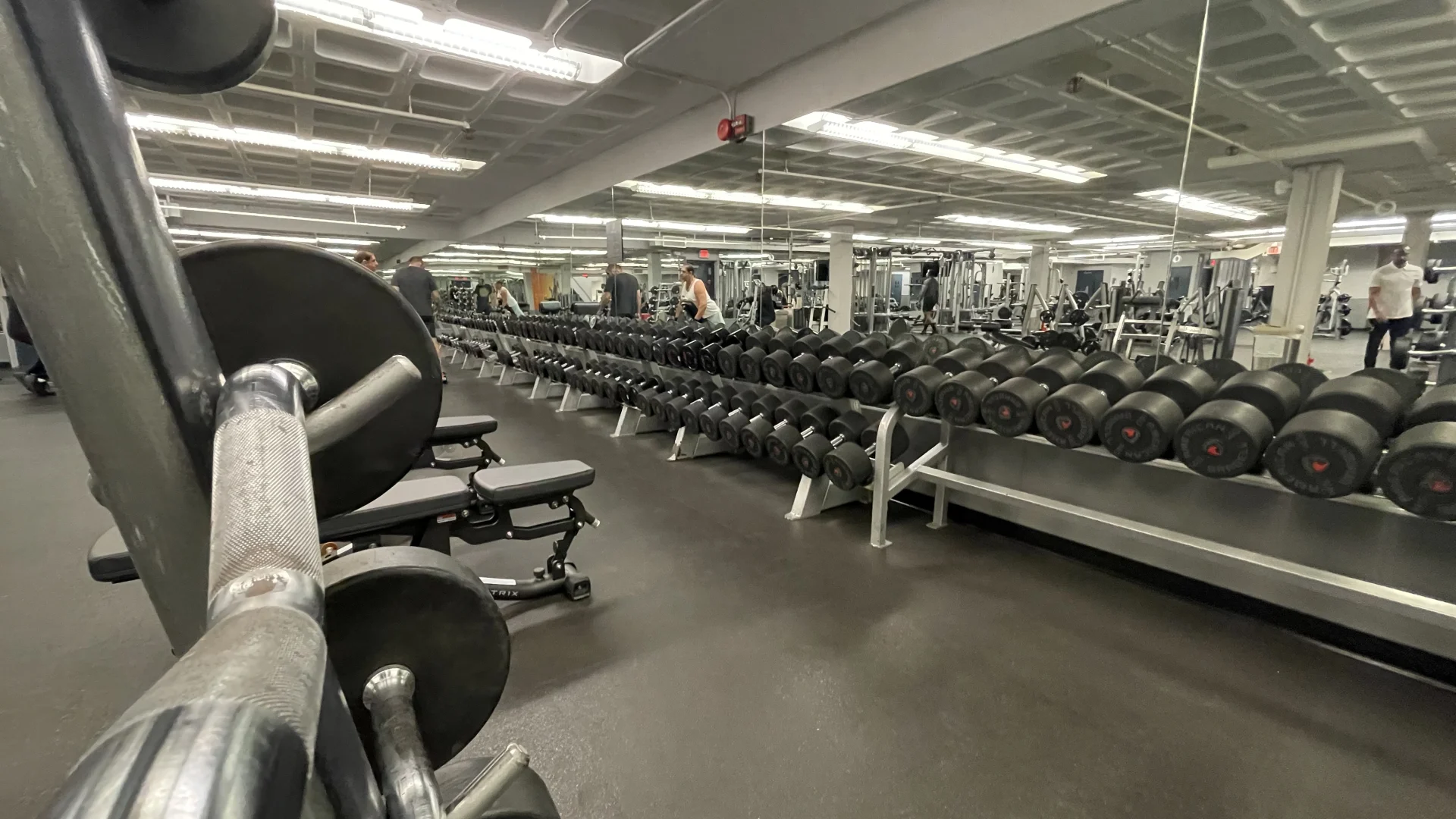 Free Weight Area