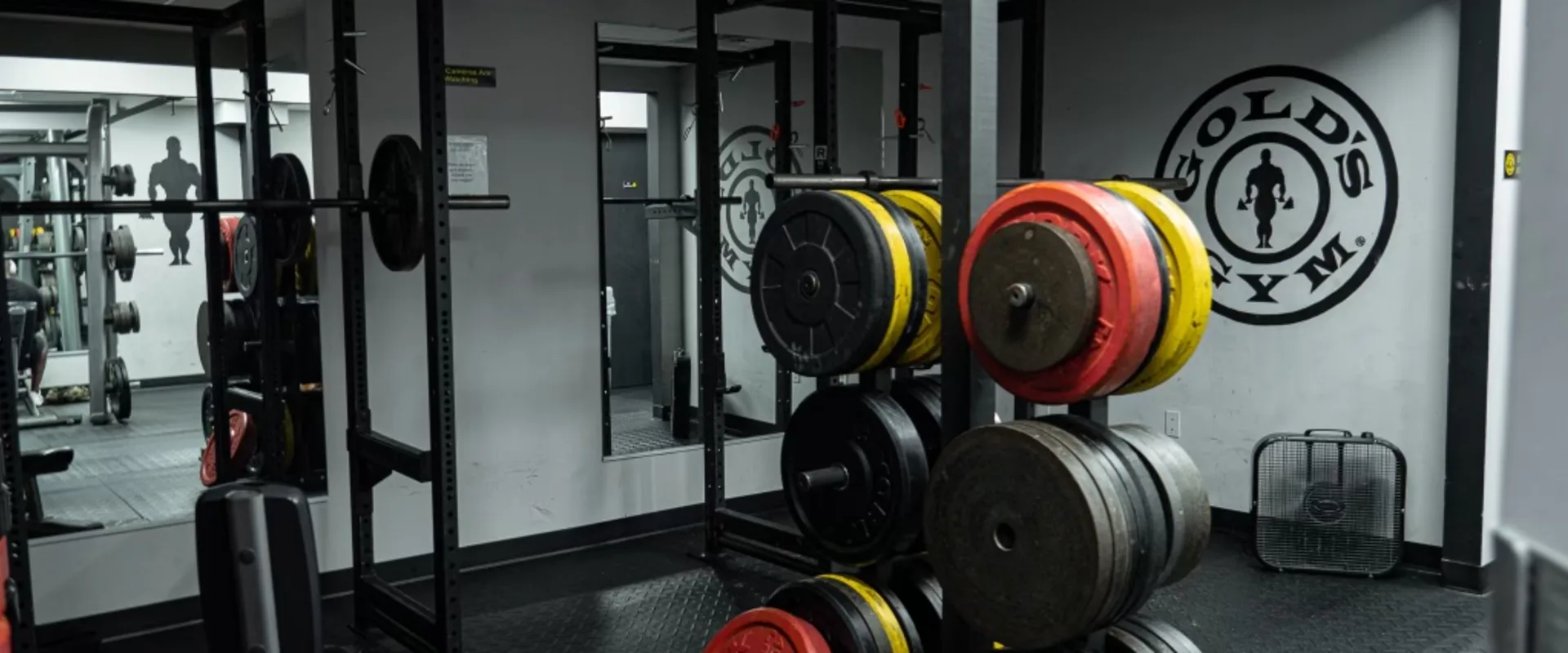 Squat Bay
