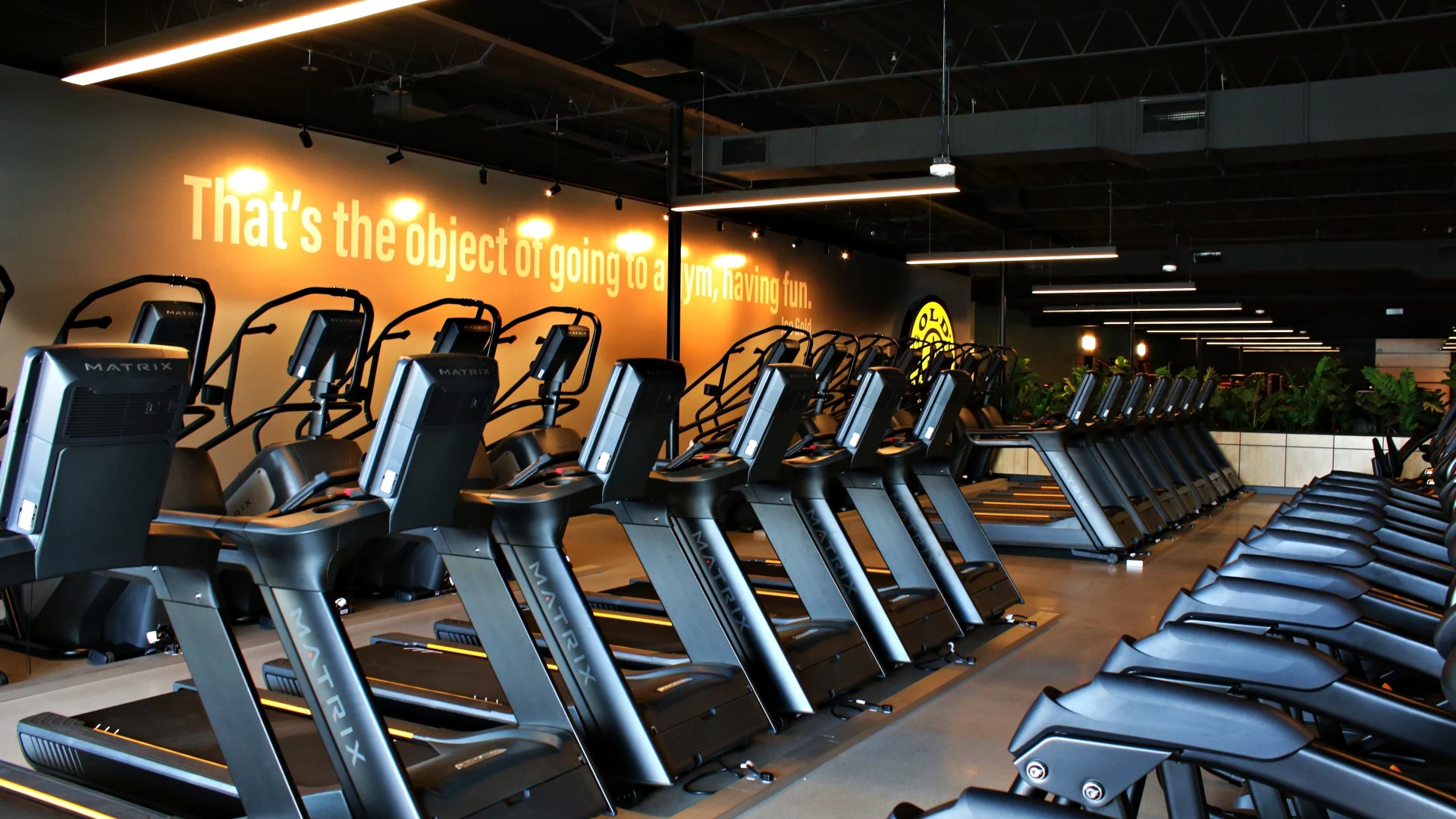 Row of Matrix treadmills and stair climbers at Gold's Gym Austin, Burnet Rd, set against a motivational quote wall and modern lighting with plants in the distance.