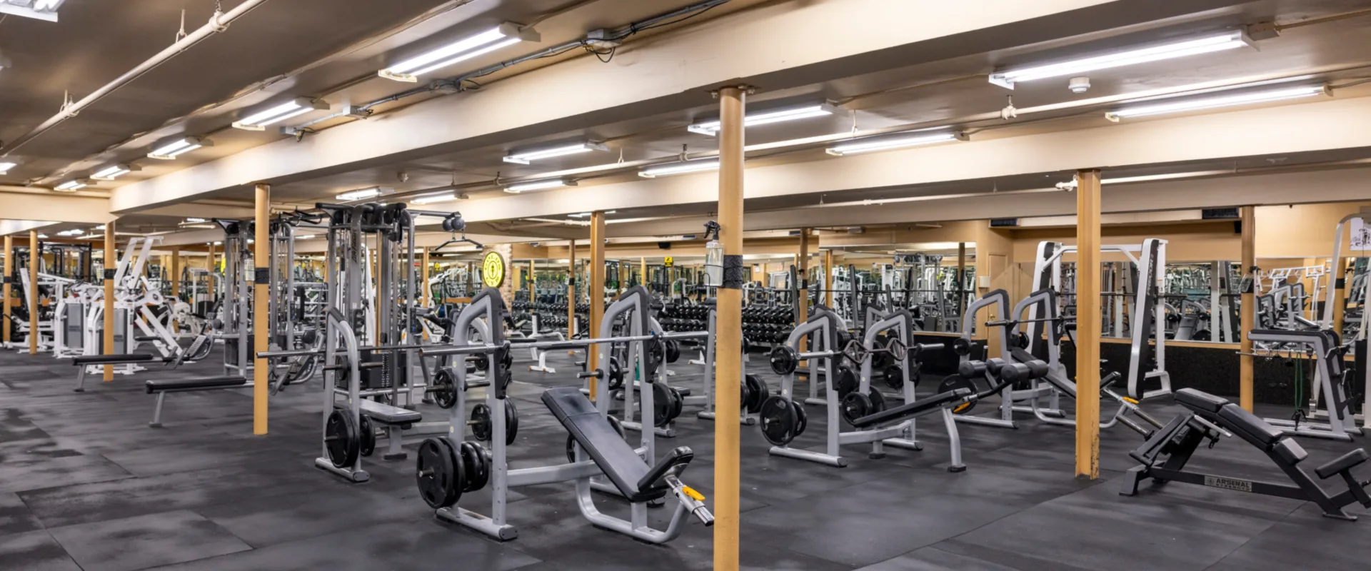Free weights area at Gold’s Gym New York (East Northport), featuring benches, barbells, and plate-loaded machines. Black rubber flooring provides traction and support, while mirrored walls enhance visibility for proper form. The open layout with overhead lighting and yellow support columns creates a spacious, well-organized training environment.