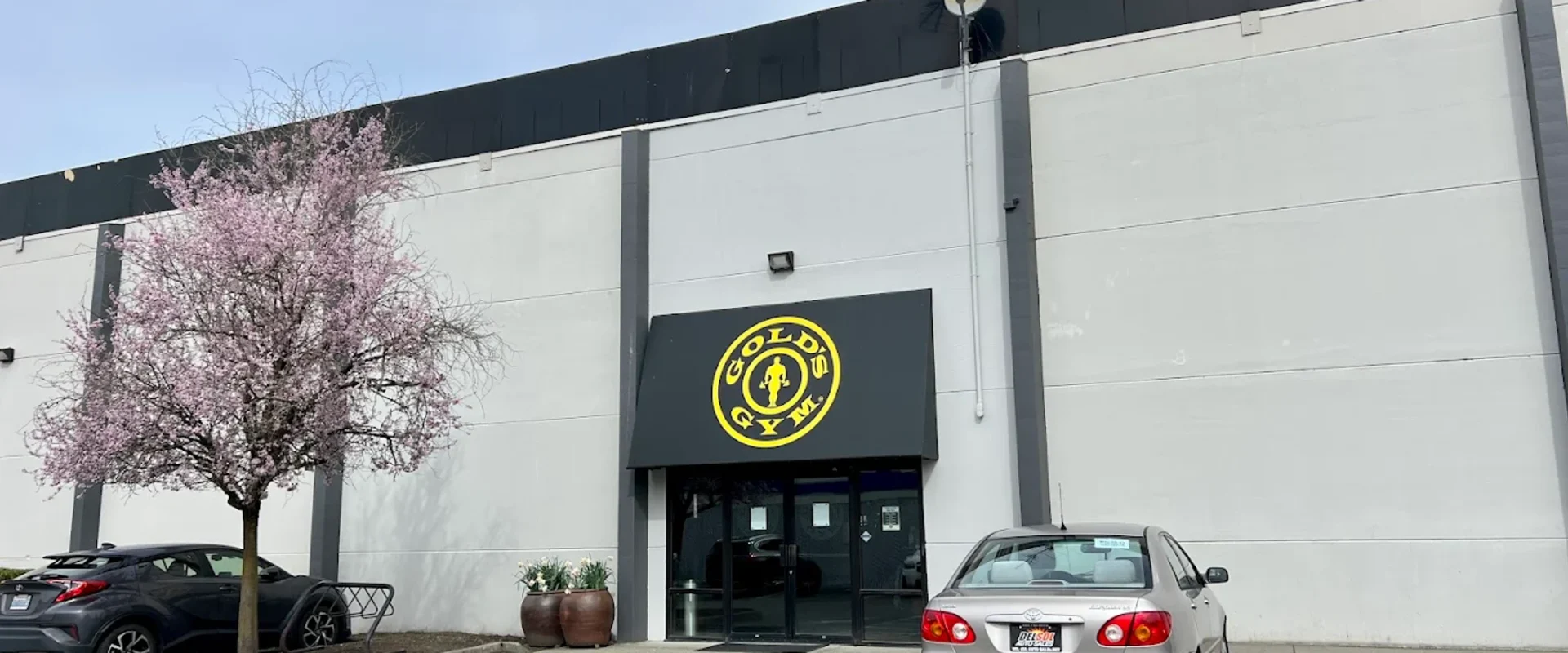 Exterior of Gold’s Gym Kirkland with gray facade, yellow logo, and blooming tree in the parking area.