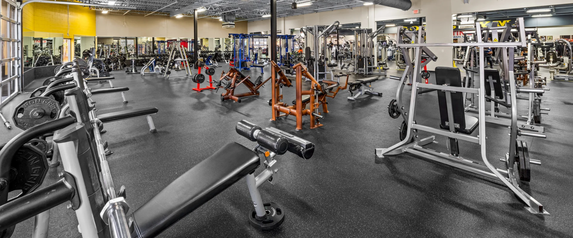 Wide shot of the plate loaded equipment area.