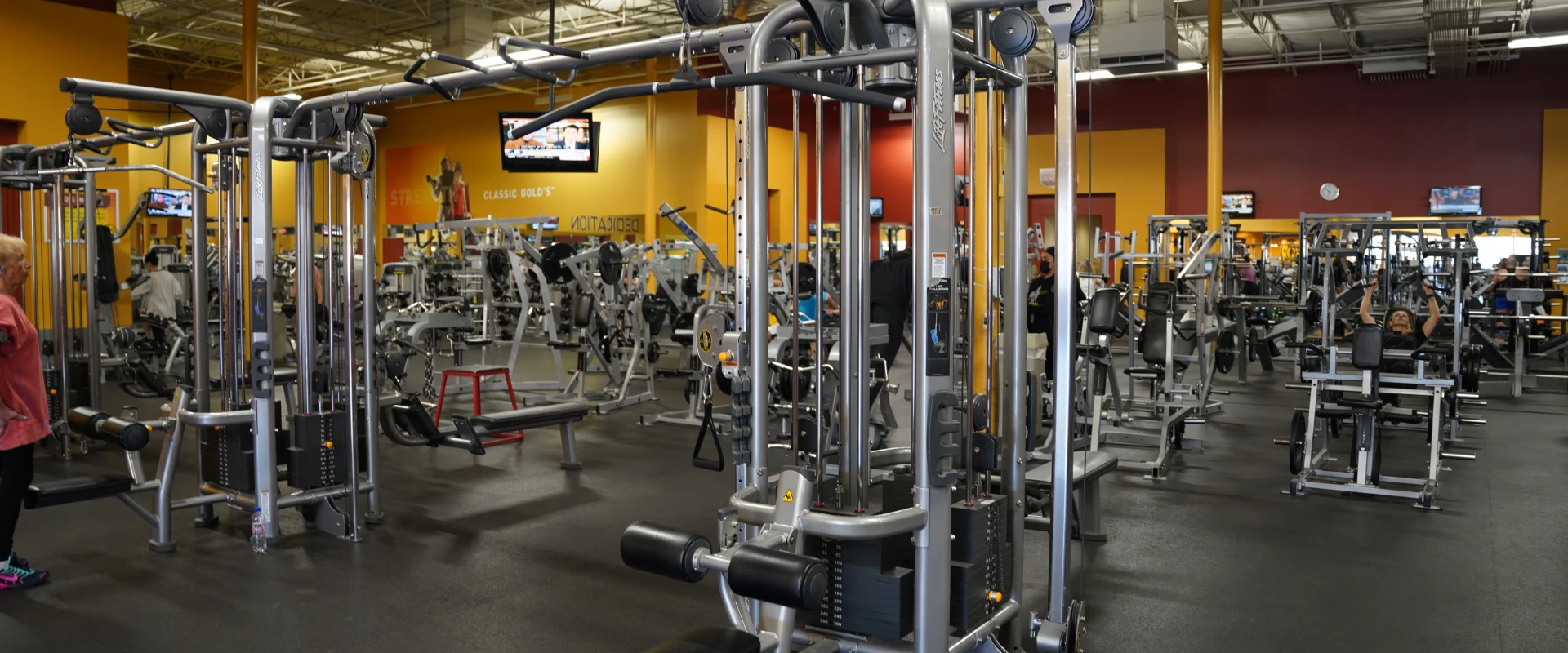 Free Weight and Motion Cables