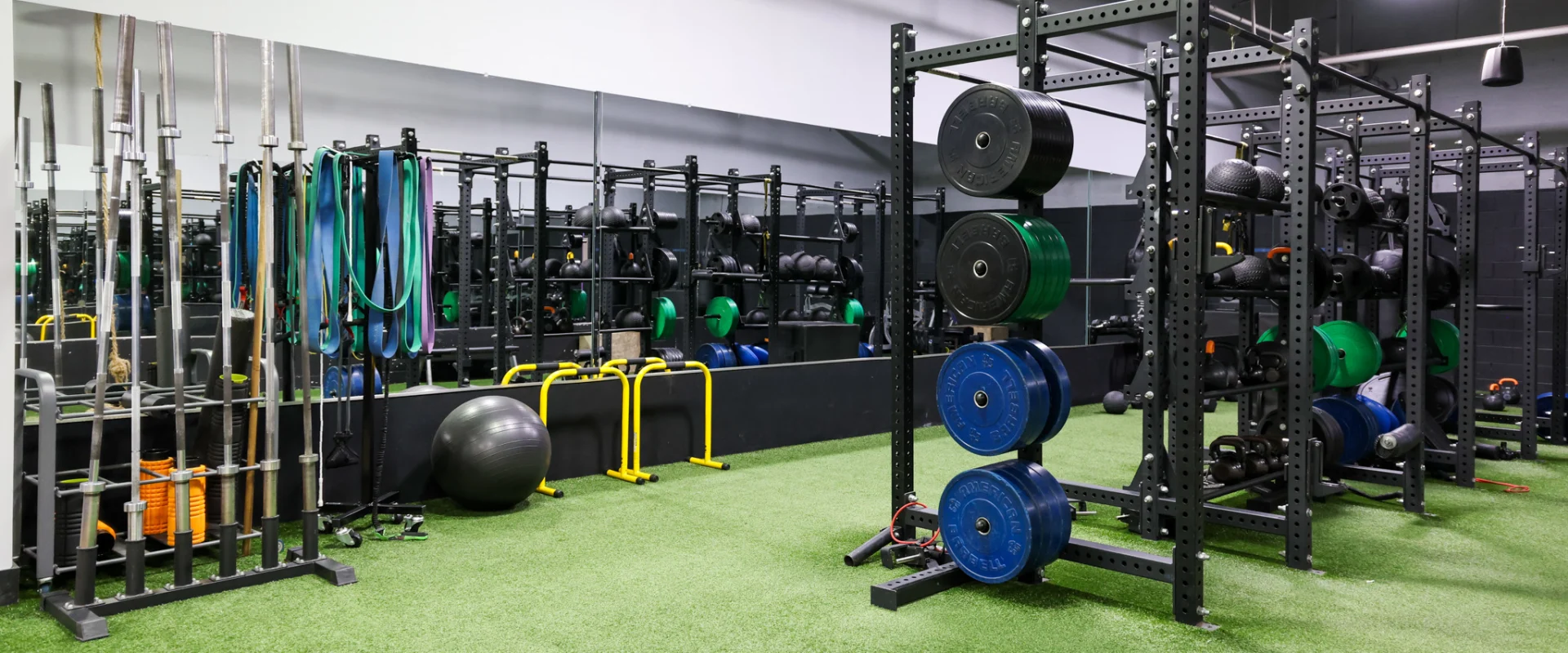Function Training
