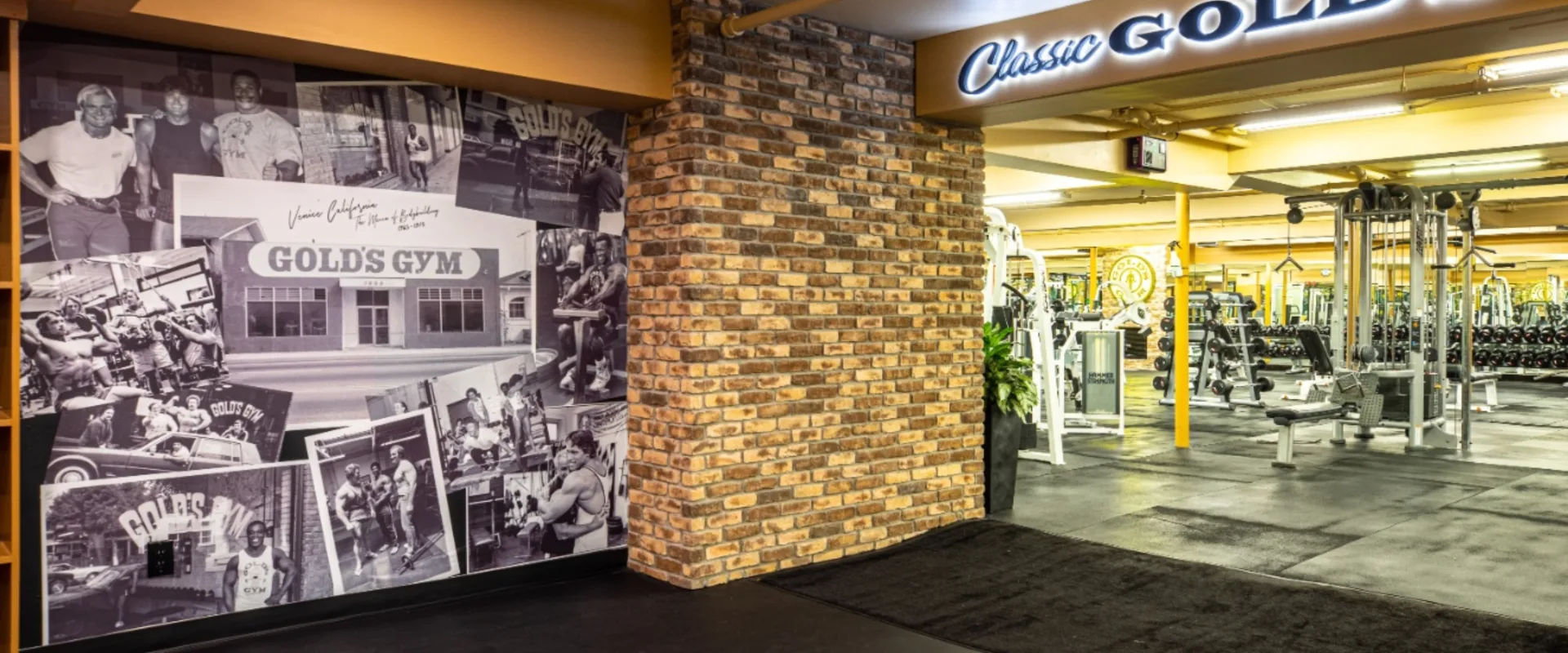 Free weights area at Gold’s Gym New York (East Northport), featuring a spacious layout with racks of dumbbells, benches, and strength training machines. A brick accent wall and vintage photo collage celebrate the gym’s history, leading into the “Classic Gold’s” section. Bright lighting and mirrored walls create an open, energized environment, perfect for focused strength workouts.