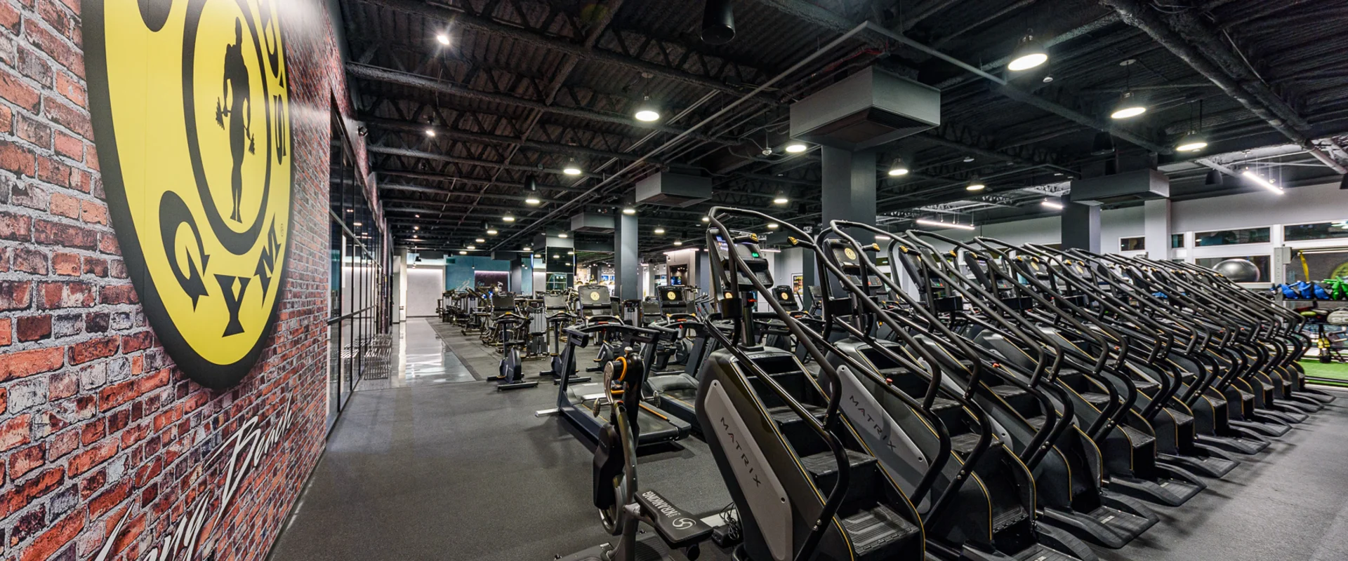 Cardio area at Gold’s Gym Long Beach, featuring a row of stair climbers and treadmills lined up for endurance training. The machines face the open gym floor, providing a spacious and high-energy workout environment. A brick accent wall with the gym’s logo adds an industrial touch, while overhead lighting and dark ceiling beams enhance the modern aesthetic. In the background, additional cardio and strength equipment are visible, catering to a full range of fitness routines.