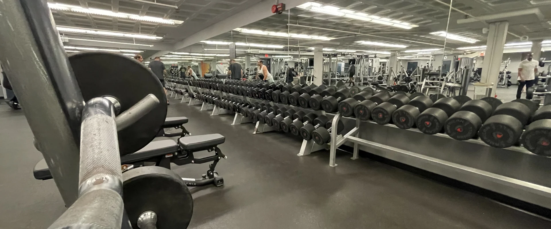 Free Weight Area