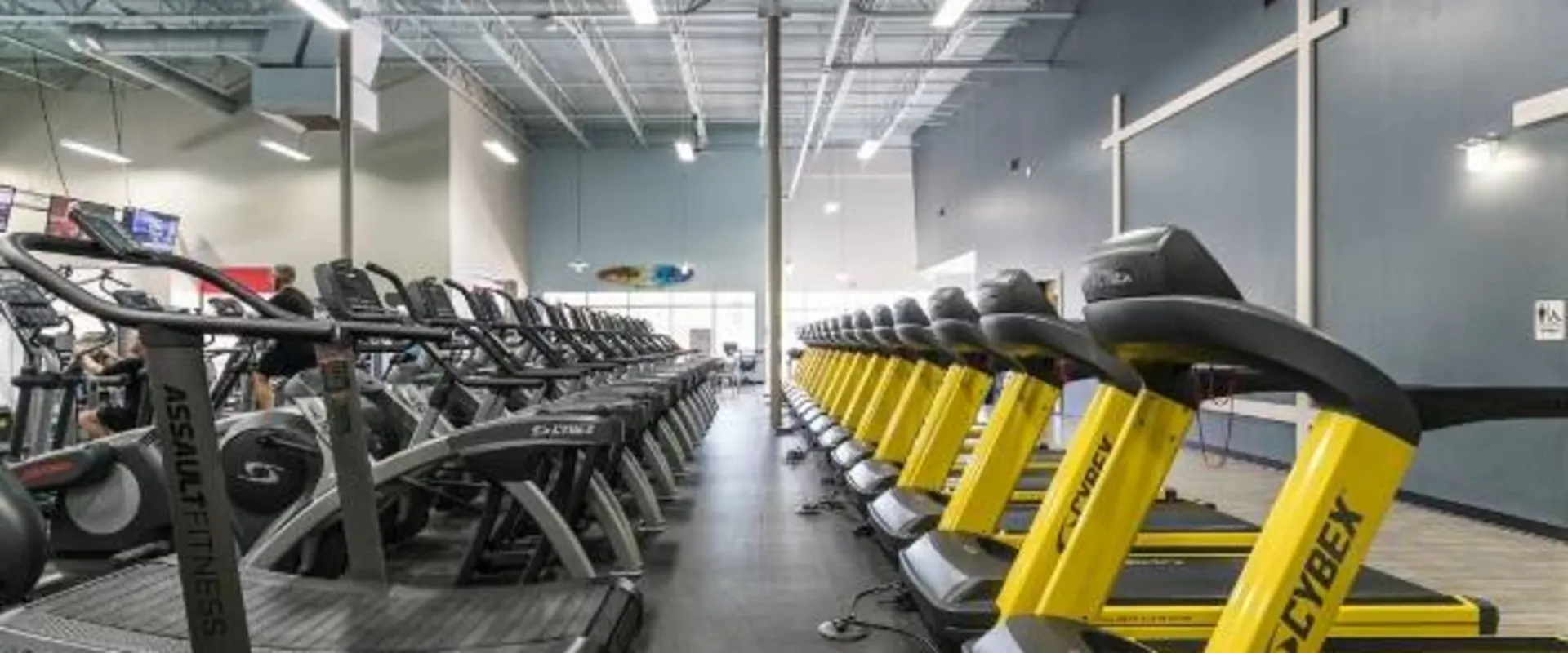 modern cardio equipment in clean gym near me