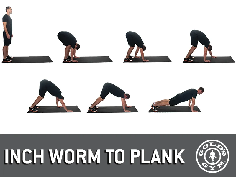 Inch Worm to Plank