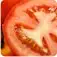 A close-up view of a ripe, juicy tomato slice, with its vibrant red skin and fleshy interior visible against a blurred, reddish background.
