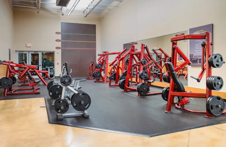 Gold's Gym The Quarry | San Antonio, TX 78209 | Strength & Fitness