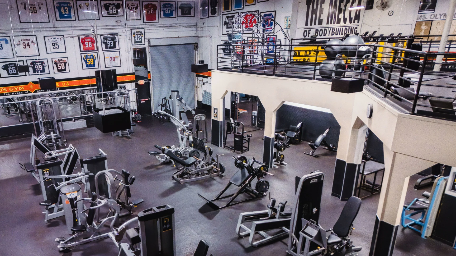 Gold s Gym Venice Venice CA 90291 Stronger Starts Here gold-s-gym-venice-venice-ca-90291-stronger-starts-here