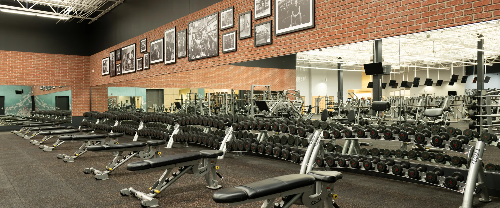 A free weight area at Gold's Gym with rows of dumbbells, adjustable benches, a mirrored wall, and framed photos displayed on a brick accent wall.