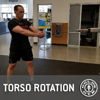 Cable Torso Rotation