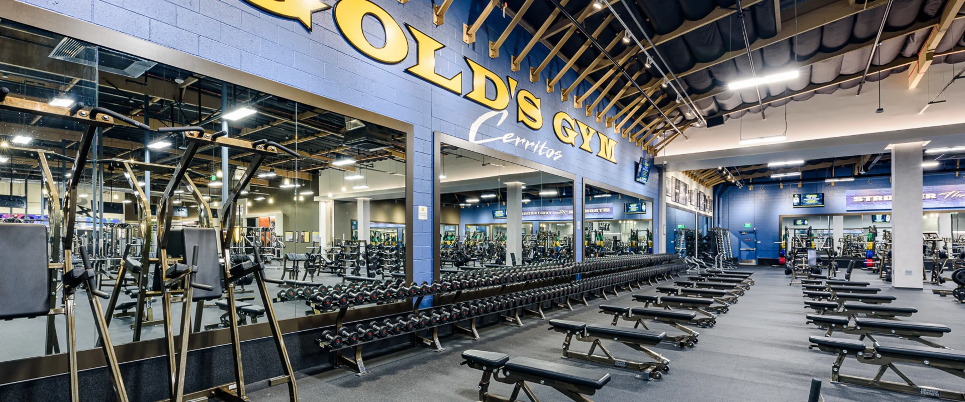 The dumbbell area at Gold’s Gym Cerritos features rows of black dumbbells neatly arranged on long racks beneath a large mirrored wall. Adjustable weight benches are positioned in front, and the gym’s blue branding with ‘Gold’s Gym Cerritos’ is displayed on the wall. The space has black rubber flooring and overhead lighting.