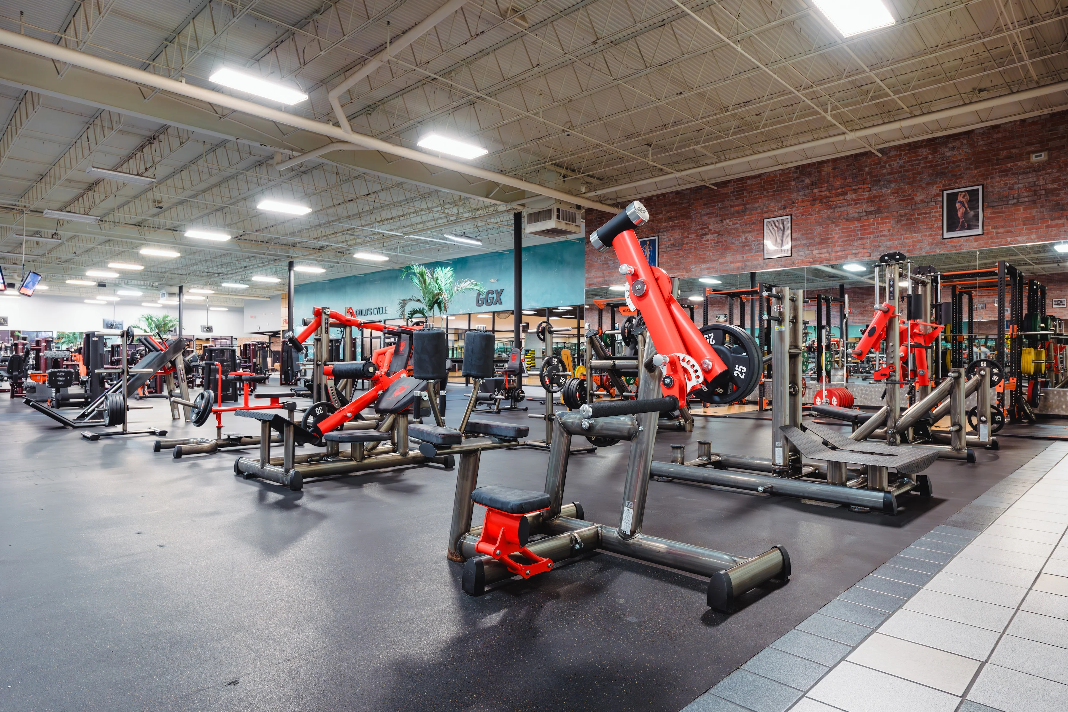 Gold's Gym Crossroads | San Antonio, TX 78201 | Sweat With Purpose