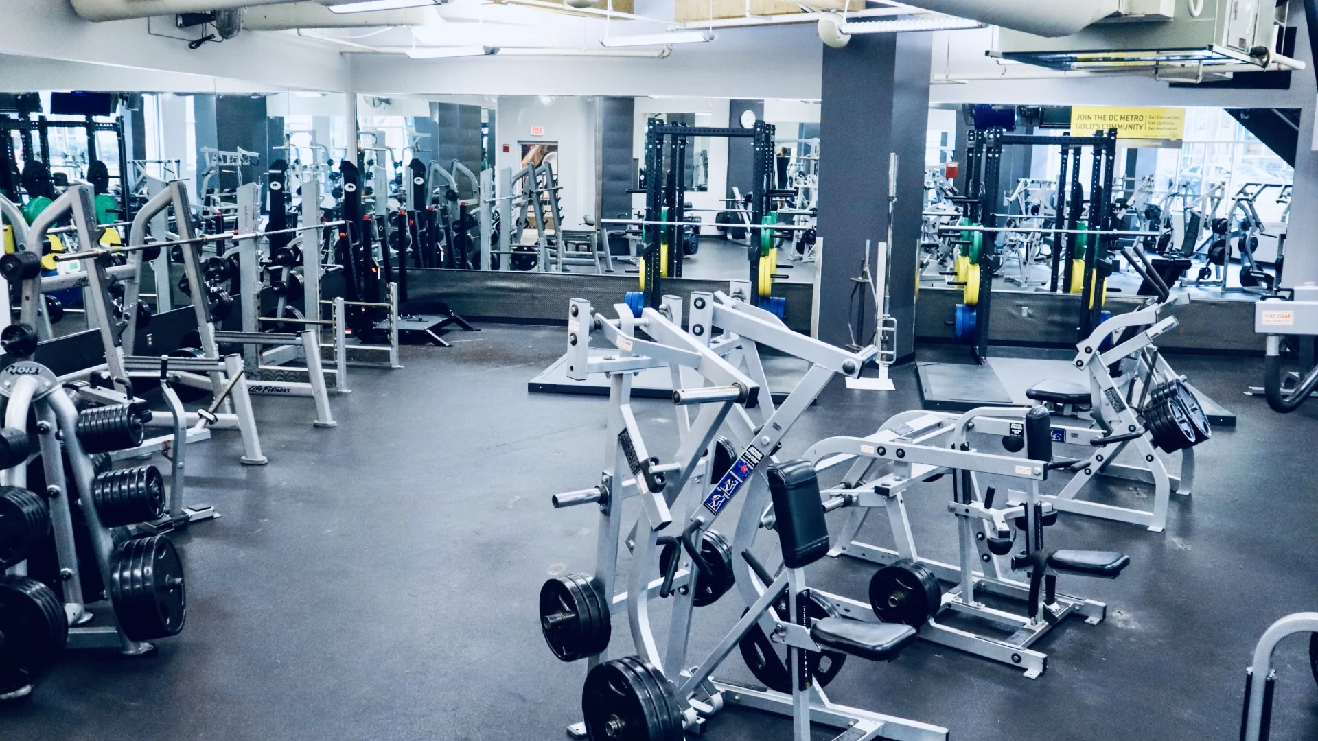 Free Weight and Strength Area