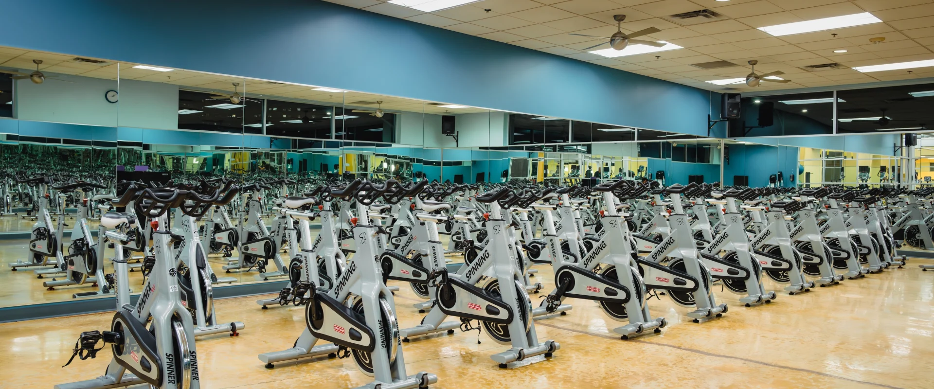 A spacious gym room filled with neatly arranged stationary bikes on a polished floor. Mirrors line the walls, reflecting the room's bright, organized ambiance.