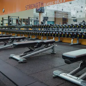 Gold's Gym Austin (Anderson Arbor)