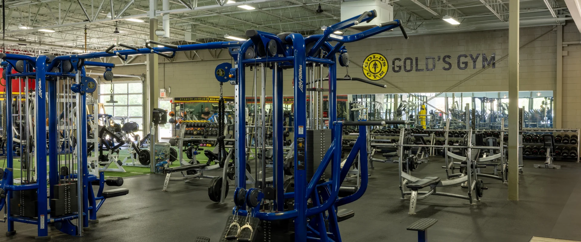 Jungle gym and free weights