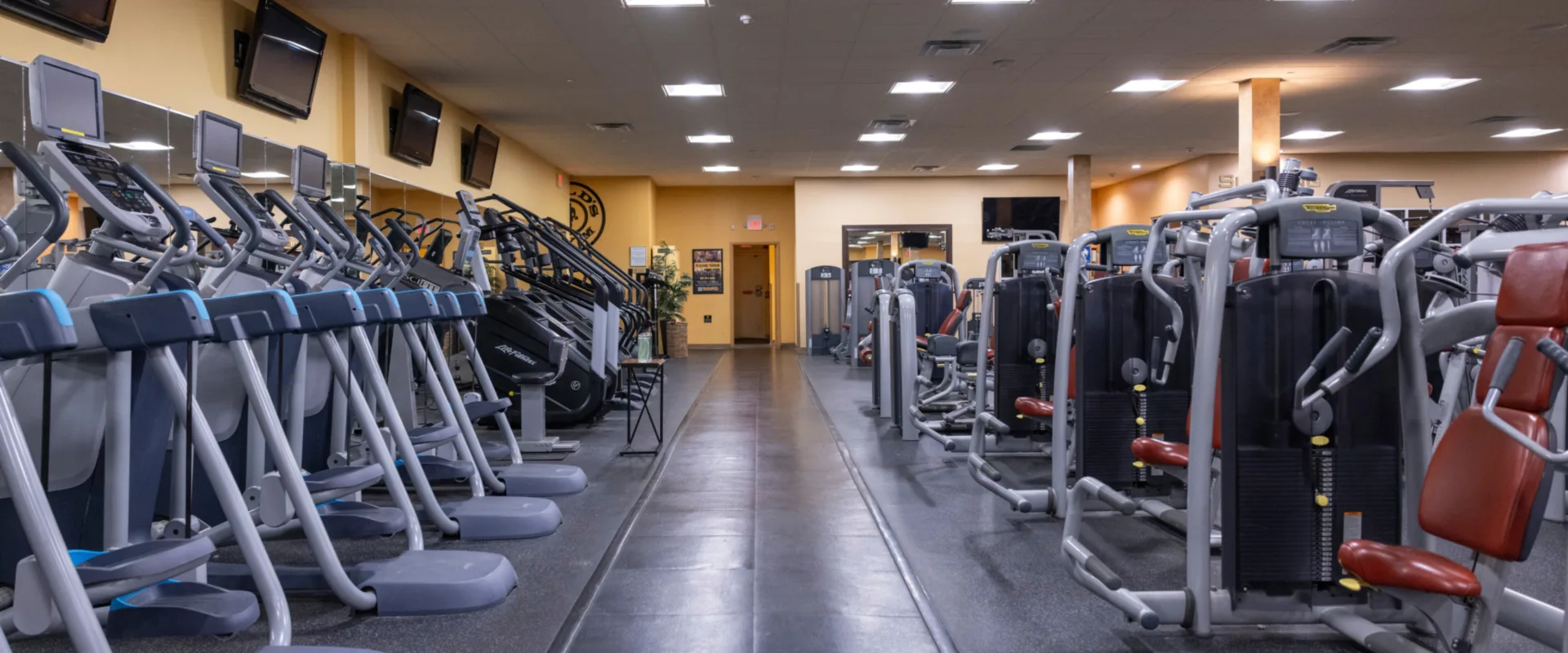 Strength equipment area at Gold’s Gym in East Northport, New York, featuring Life Fitness selectorized machines with padded red seats for targeted muscle training. The space includes rows of treadmills and stair climbers along mirrored walls with mounted TVs overhead. Bright ceiling lights and rubber flooring create a clean, organized workout environment.