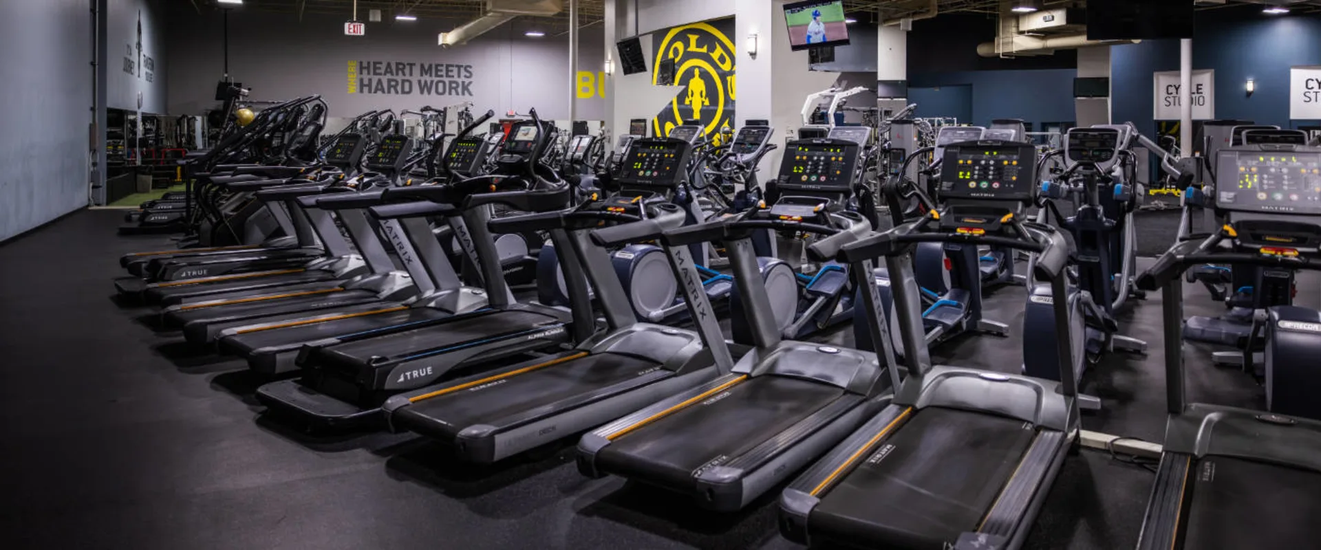 A row of treadmills lines the cardio area at Gold’s Gym in Woodbridge (Lake Ridge), each equipped with digital screens displaying workout metrics. Behind them, elliptical machines and stair climbers offer additional cardio options. A large Gold’s Gym logo is displayed on the far wall, contrasting against the dark background. Overhead, mounted televisions provide entertainment, while gym branding, including the phrase "Heart Meets Hard Work," is visible on the adjacent wall. The space features black rubber flooring, creating a defined workout zone.