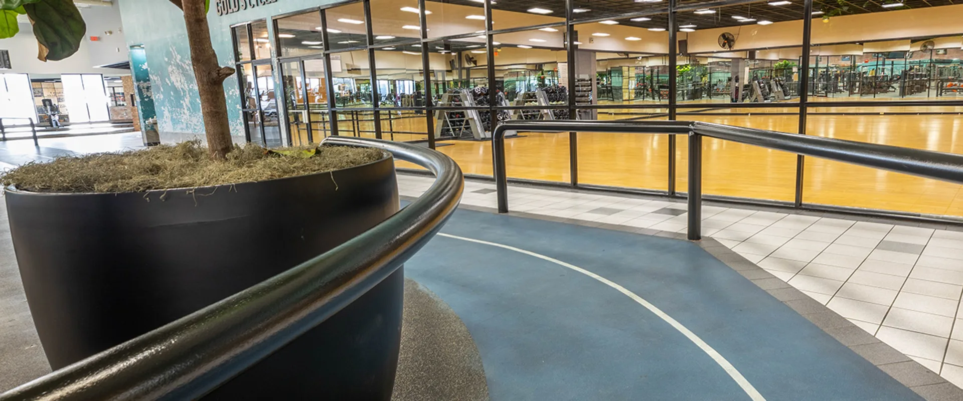 Gold’s Gym San Antonio Crossroads - Gym Floor GGX