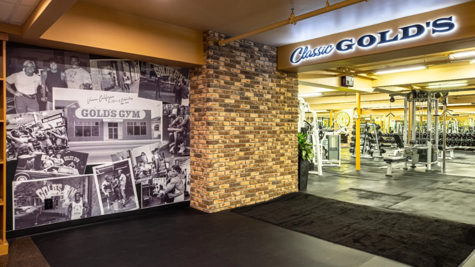 Free weights area at Gold’s Gym New York (East Northport), featuring a spacious layout with racks of dumbbells, benches, and strength training machines. A brick accent wall and vintage photo collage celebrate the gym’s history, leading into the “Classic Gold’s” section. Bright lighting and mirrored walls create an open, energized environment, perfect for focused strength workouts.