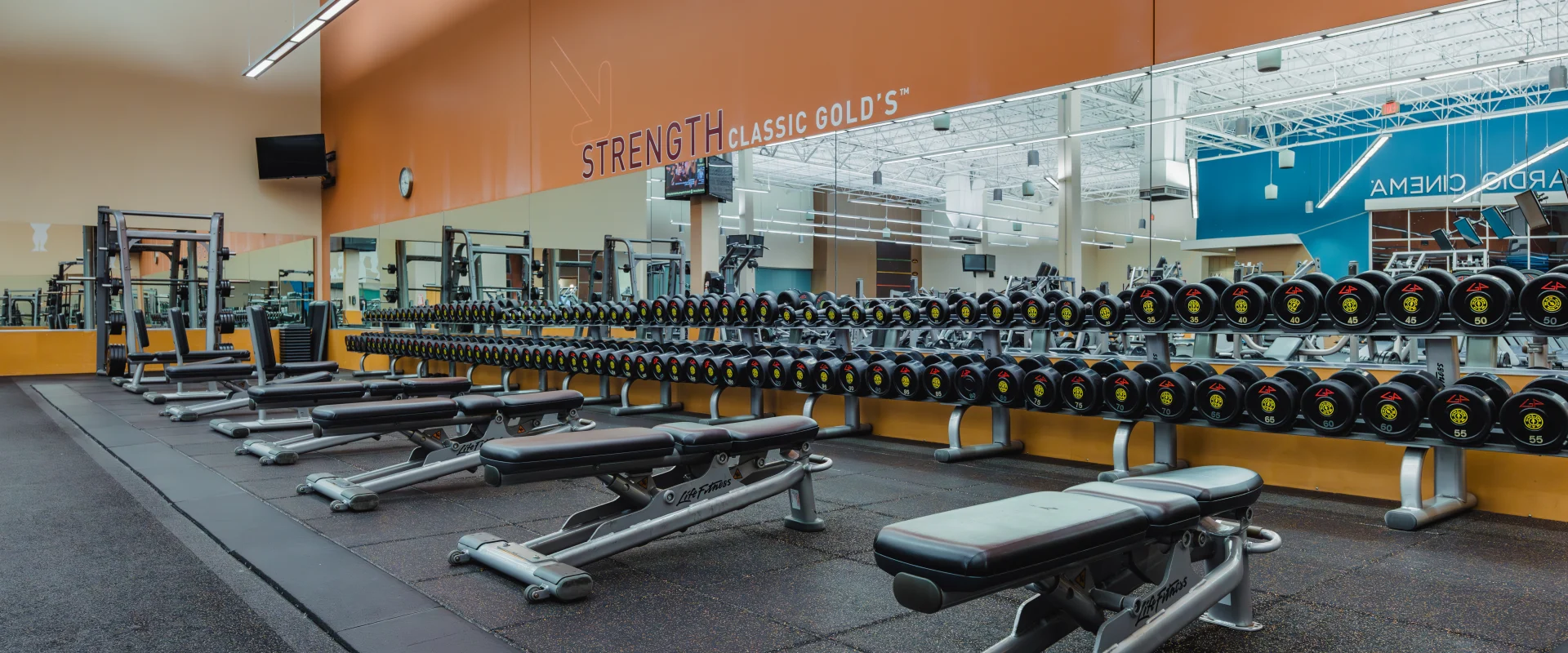 Dumbbell rack and adjustable benches at Gold’s Gym Austin (Anderson Arbor) set against a mirrored wall. The room features an orange accent wall labeled “Strength Classic Gold’s,” rubber flooring, and bright overhead lighting.