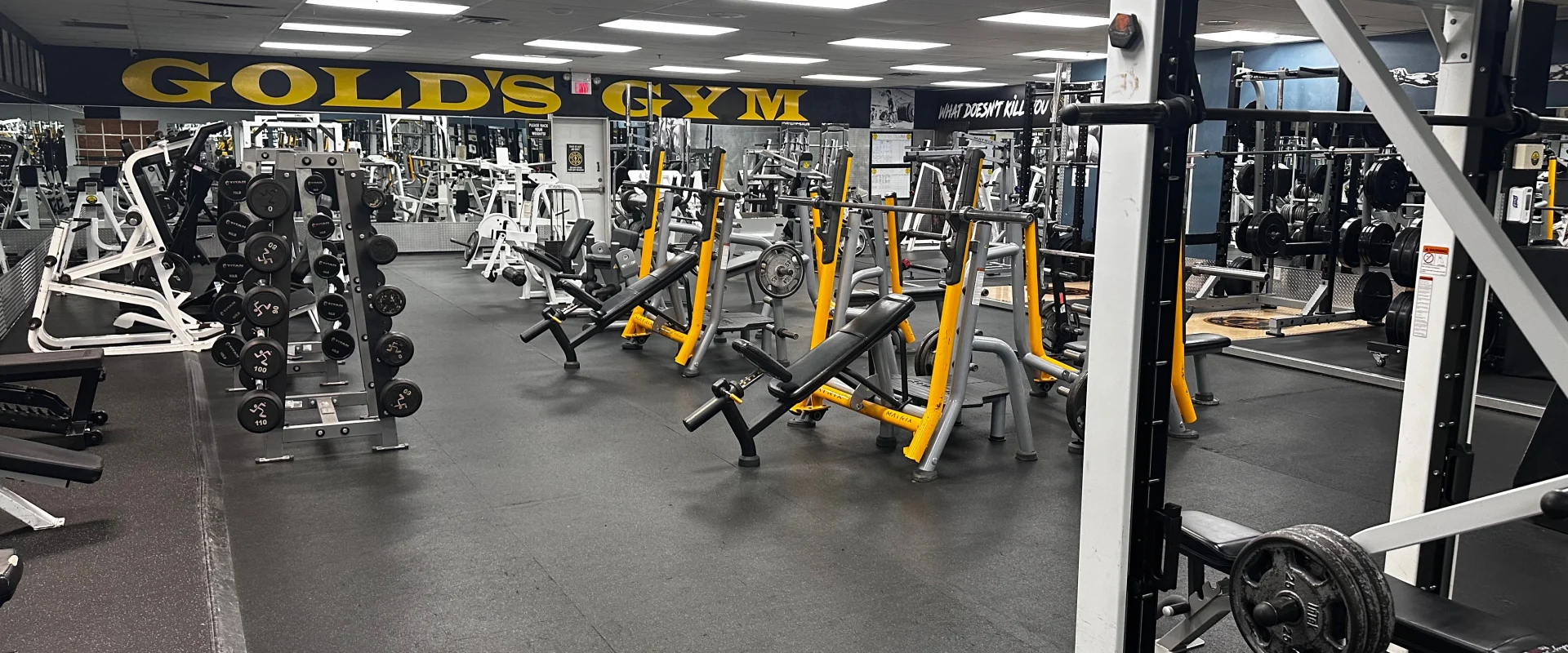 Plate-loaded machines at Gold’s Gym New Jersey, Bridgewater, arranged in rows with yellow and gray frames. The area includes incline and decline press machines, squat racks, and a variety of free weights. A dumbbell rack is positioned to the left, with benches nearby. The gym features dark rubber flooring, mirrored walls, and overhead lighting. In the background, Olympic lifting platforms, barbells, and additional strength training equipment are visible. The Gold’s Gym logo is displayed on the back wall.